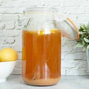 kefir de fruits