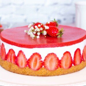 fraisier ig bas