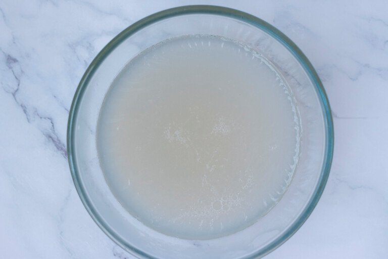Yaourts au lait de coco – La cuisine d'Aurélie